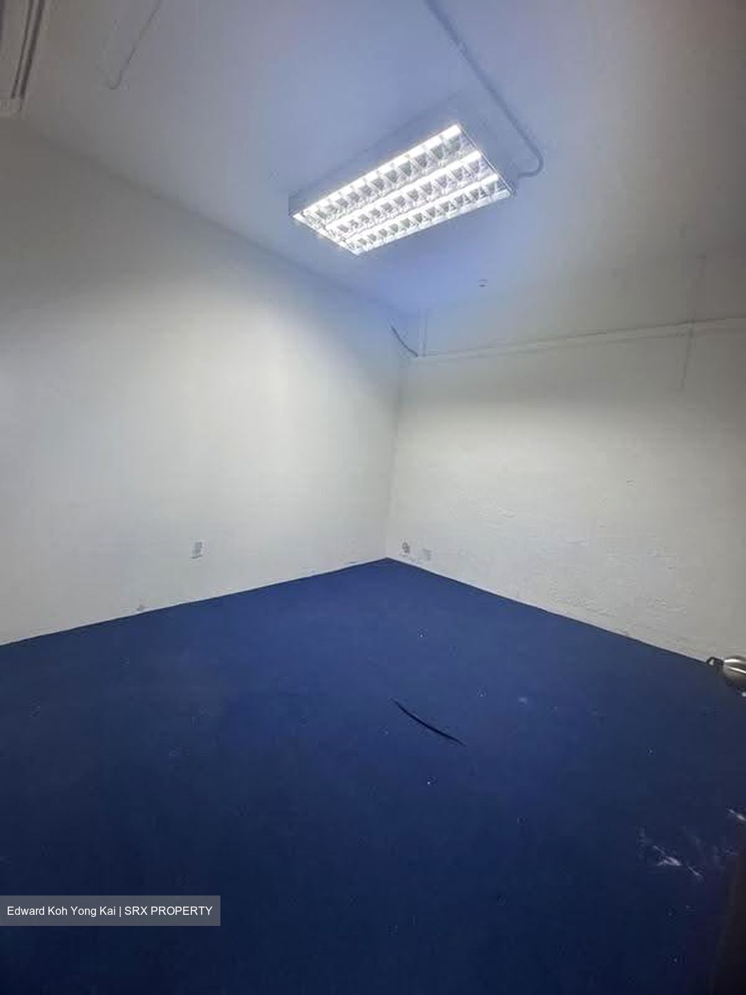 Golden Wall Flatted Factory (D12), Factory #616942531